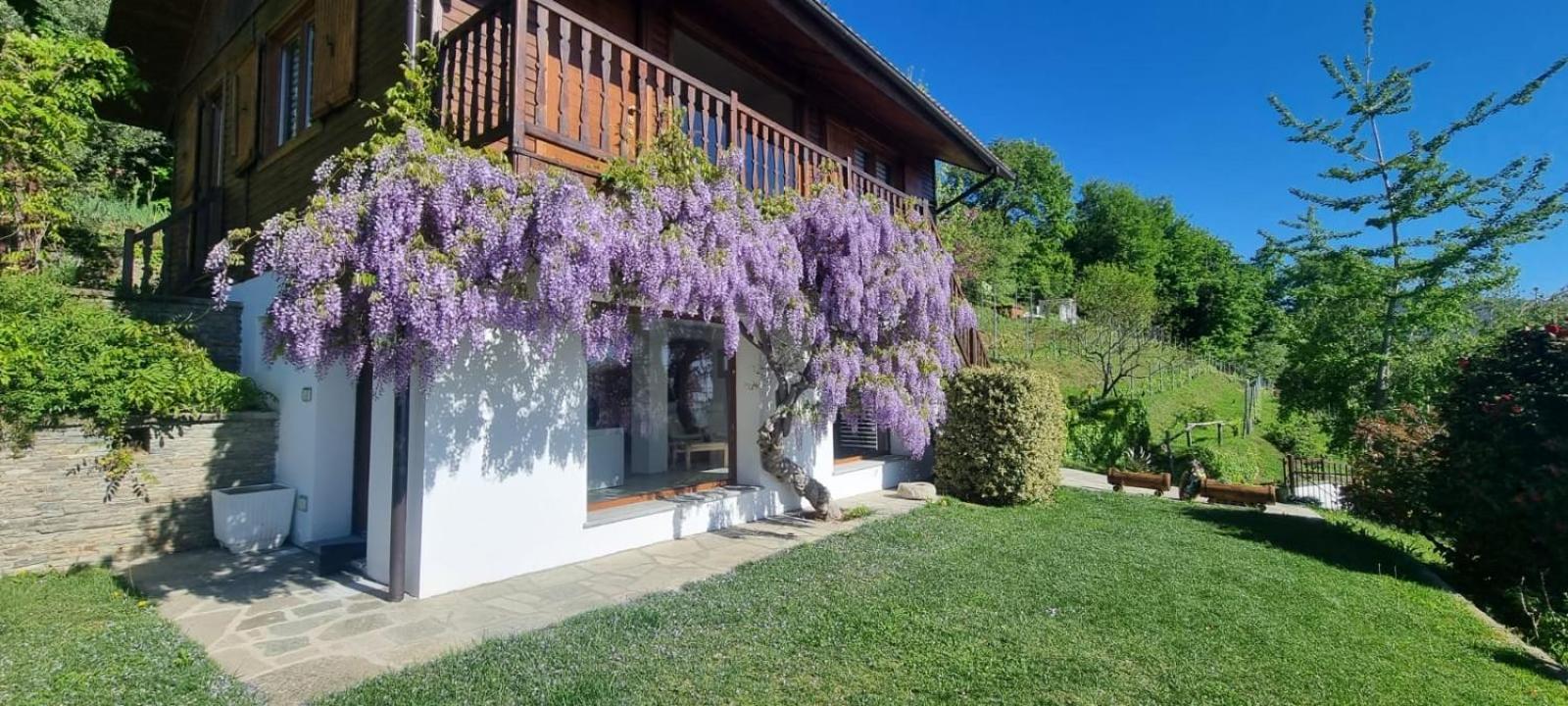 Chalet Sophie - Luxury Chalet Roletto 외부 사진